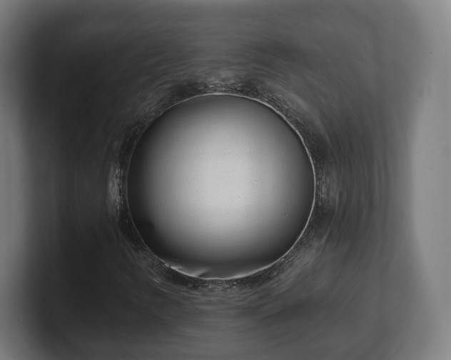 X0000101651346200807171244