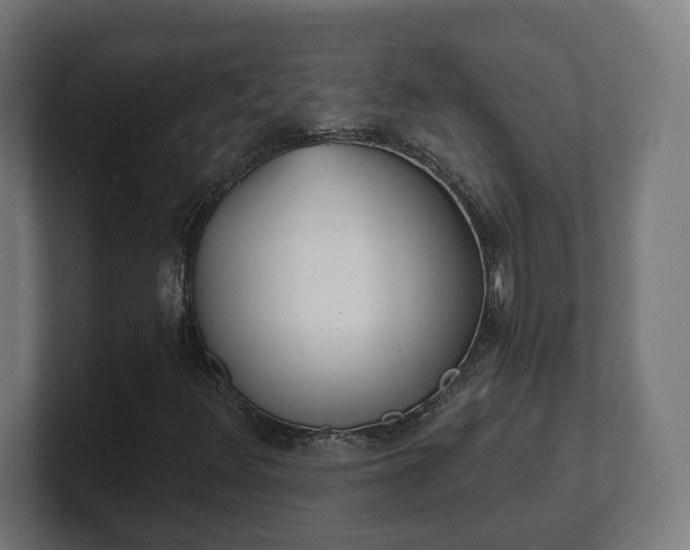 X0000101651348200807171244