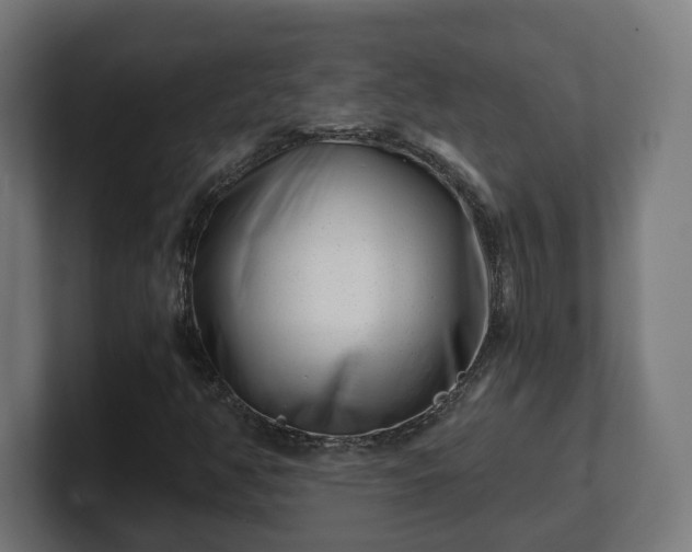 X0000101651350200807171244