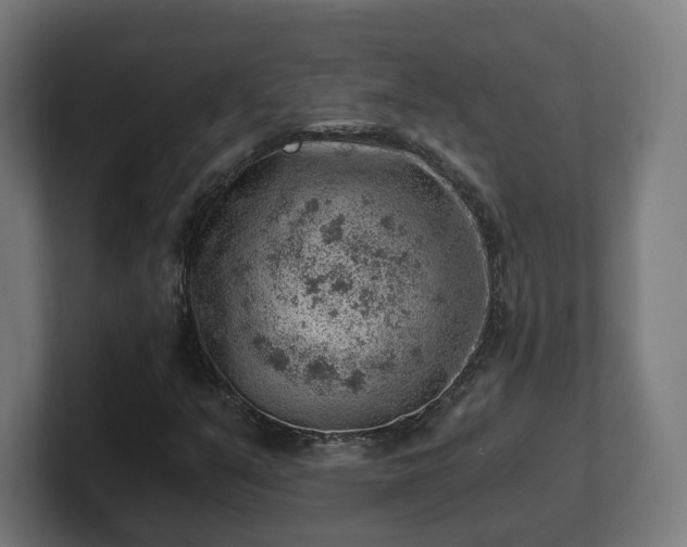 X0000101651351200807171244