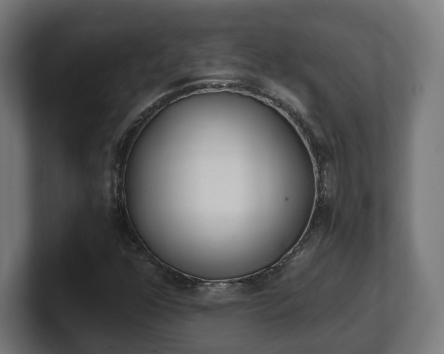 X0000101651352200807171244