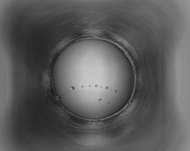 X0000101651354200807171244