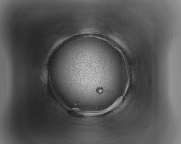 X0000101651358200807171244