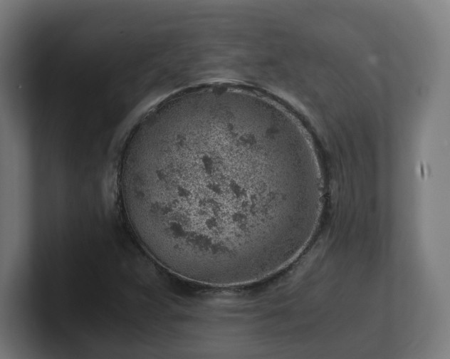 X0000101651359200807171244