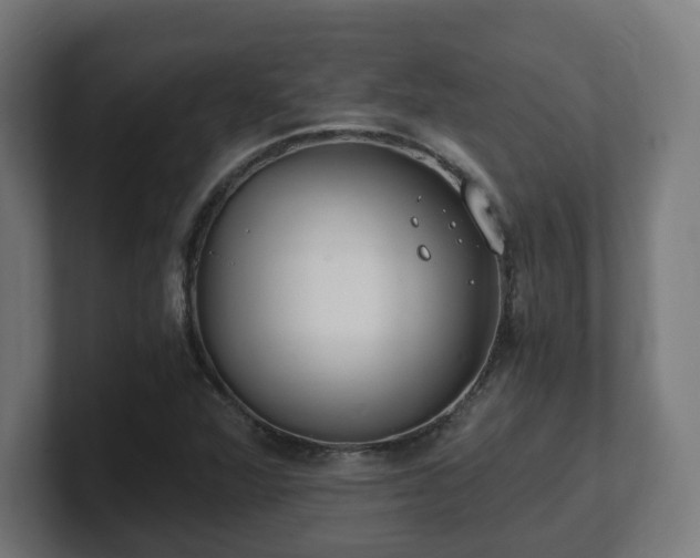 X0000101651360200807171244