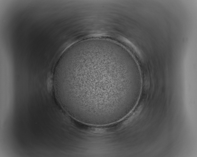 X0000101651361200807171244