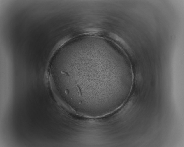 X0000101651362200807171244