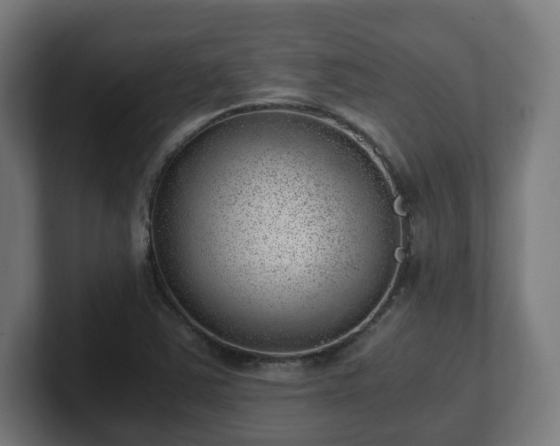 X0000101651363200807171244