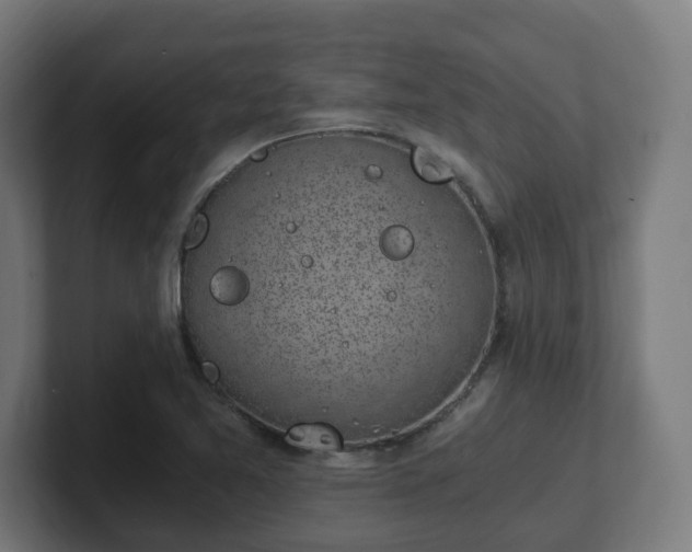 X0000101651365200807171244