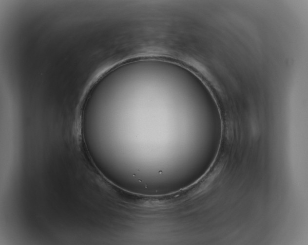 X0000101651366200807171244