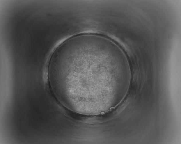 X0000101651367200807171244