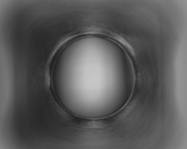 X0000101651368200807171244