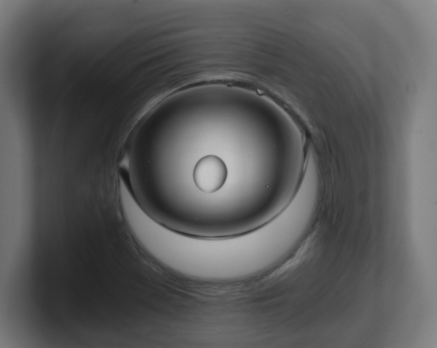 X0000101651369200807171244