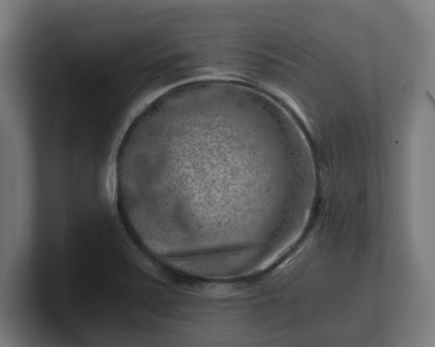 X0000101651371200807171244