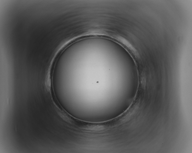 X0000101651372200807171244