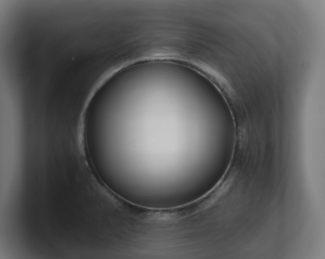 X0000101651374200807171244