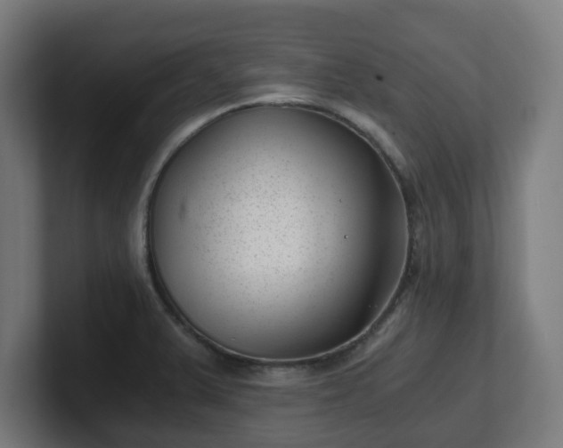 X0000101651375200807171244