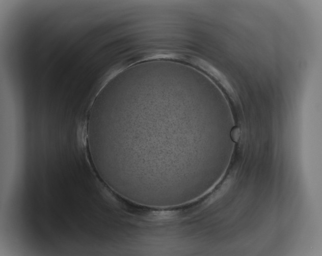 X0000101651377200807171244