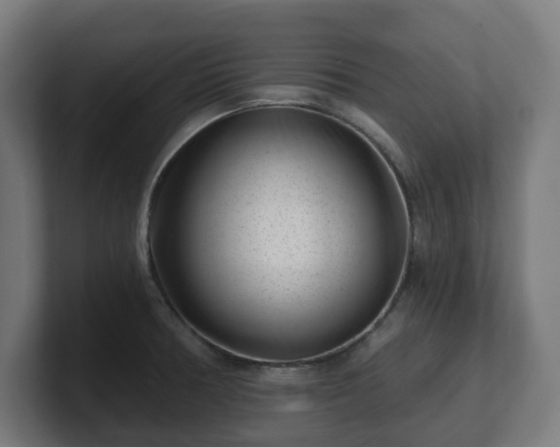 X0000101651378200807171244