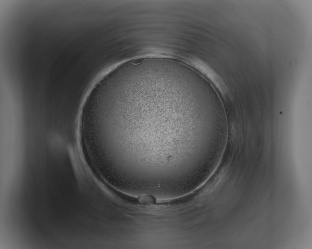 X0000101651379200807171244