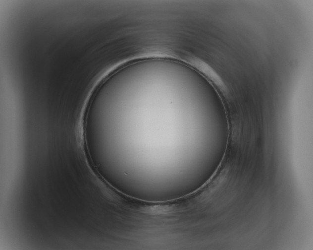 X0000101651380200807171244