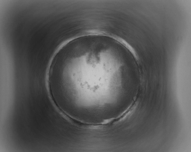 X0000101651381200807171244