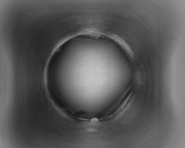 X0000101651382200807171244