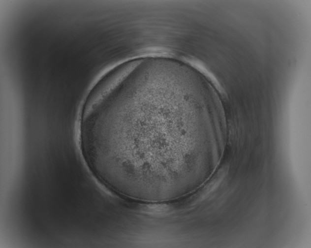 X0000101651383200807171244