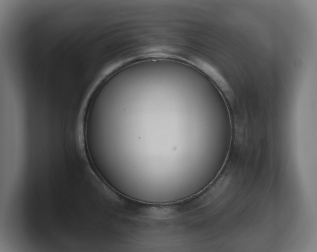 X0000101651384200807171244