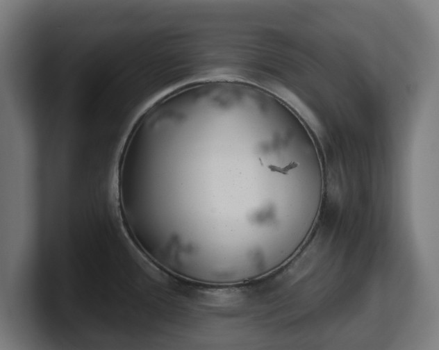 X0000101651388200807171244