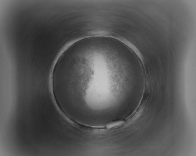 X0000101651389200807171244