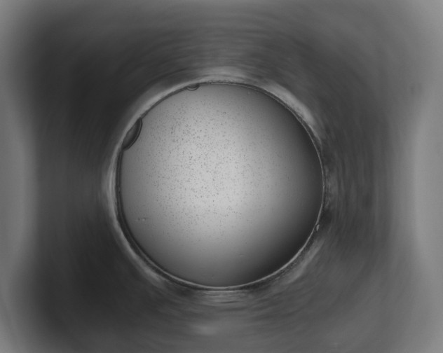 X0000101651391200807171244