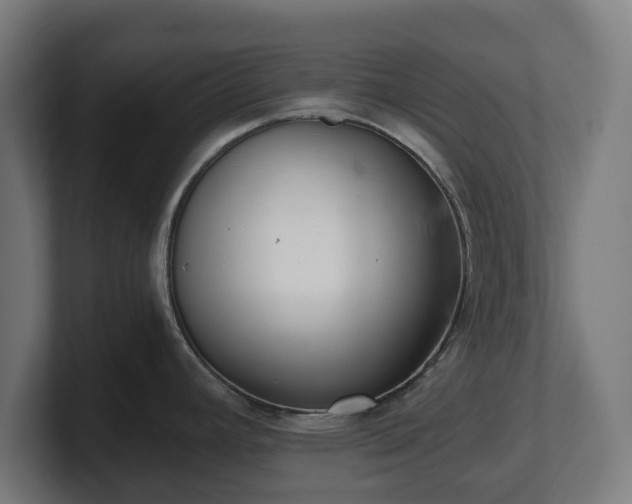 X0000101651392200807171244