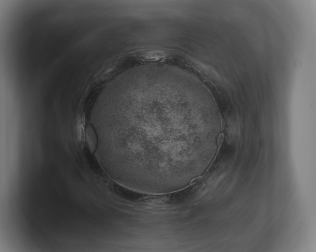 X0000101651394200807171243