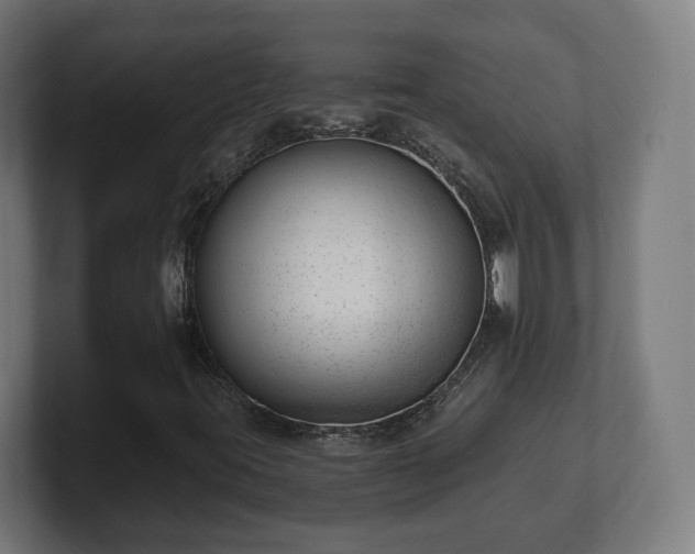 X0000101651395200807171243