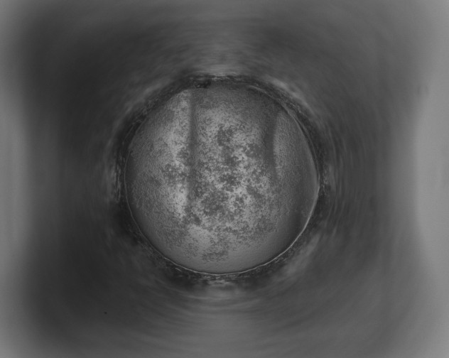 X0000101651398200807171243