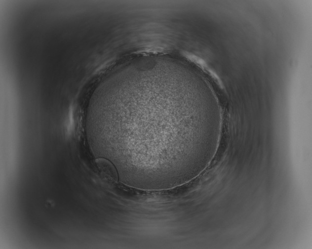 X0000101651399200807171243