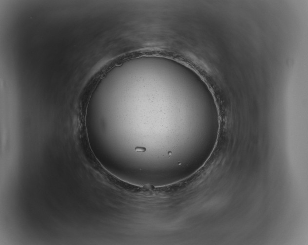 X0000101651400200807171243