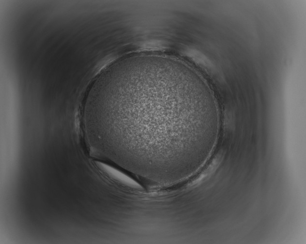 X0000101651401200807171243