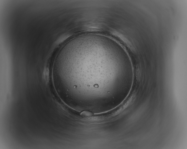 X0000101651402200807171243