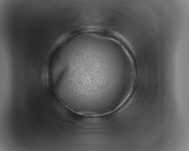 X0000101651403200807171243