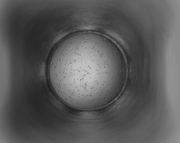 X0000101651404200807171243