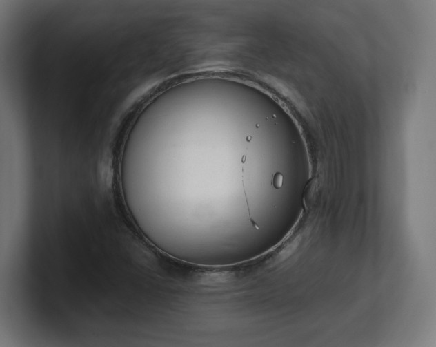 X0000101651406200807171243