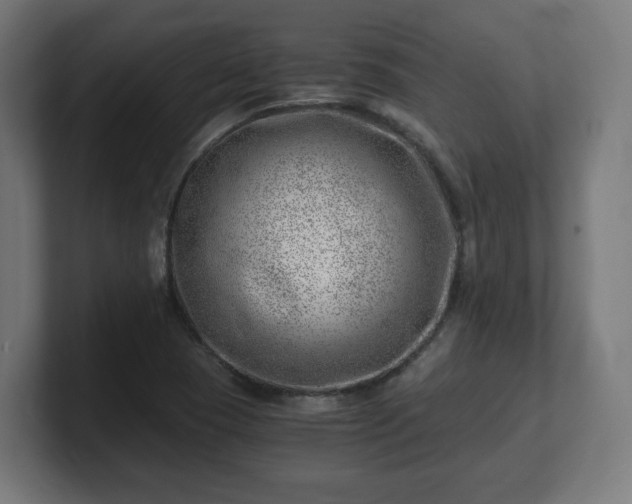 X0000101651409200807171243