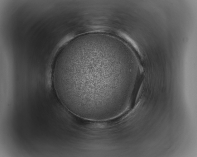 X0000101651411200807171243