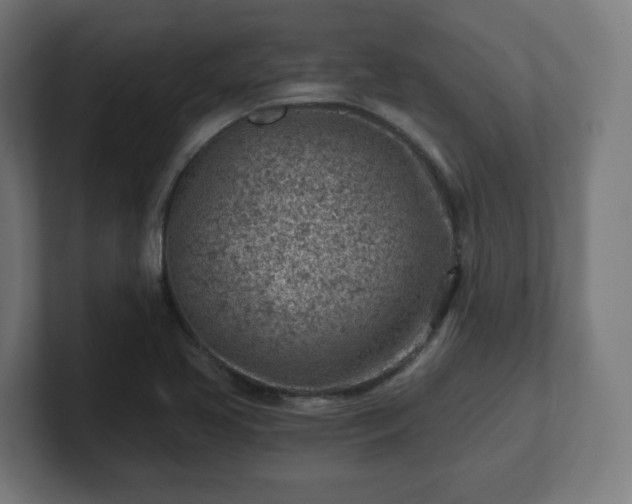 X0000101651413200807171243