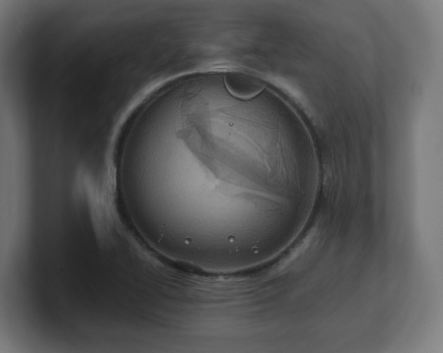 X0000101651414200807171243