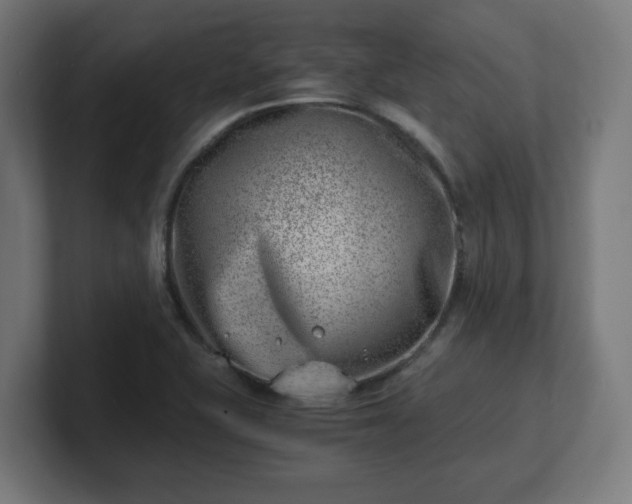 X0000101651415200807171243