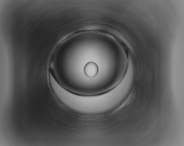 X0000101651417200807171243