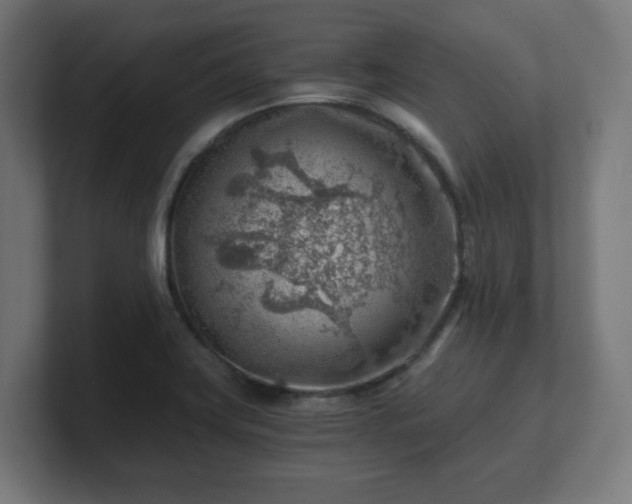 X0000101651419200807171243